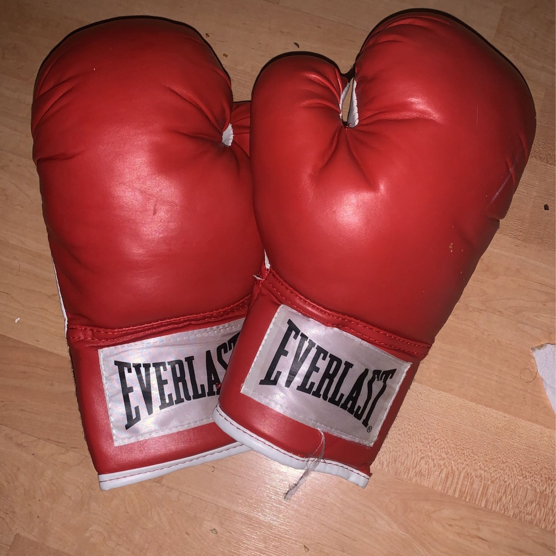 Everlast Boxing Gloves (Used)