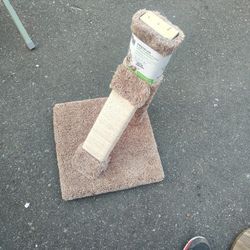 Cat Scratcher