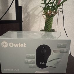 Owelet Monitor + Camera Duo