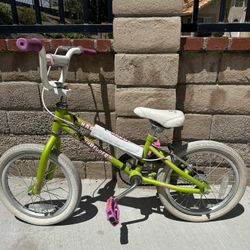Haro Shredder 16”