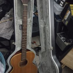 Bass Guitar Acoustic Electric 