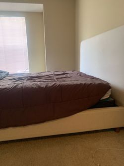 Bed frame and Box Spring for sale
