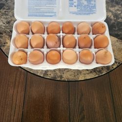 Fresh Eggs