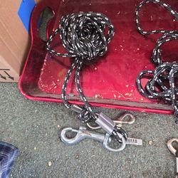 2 Nylon Dog Tie Outs... For A Small Dog