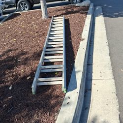 Work Latter 25foot Long 