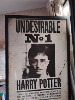 Undesirable No 1 HP Poster & Frame