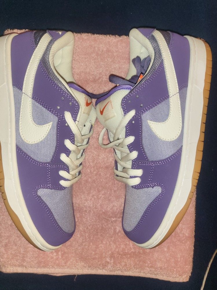 Nike Dunk Sb Low Size 10 New