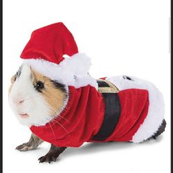 Small Pet Santa 🎅 Costume