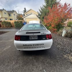 2000  Ford Mustang