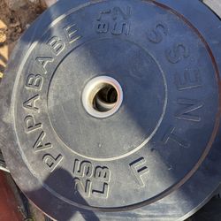 25 lbs bumper plate weights