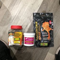 Bearded Dragon Food