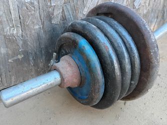 Weights and curl bar