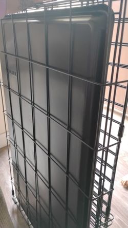 Dog Kennel
