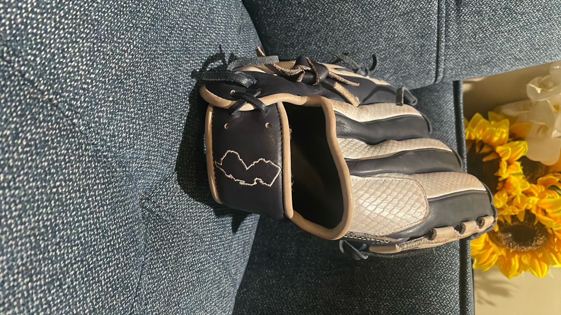 Baseball Glove