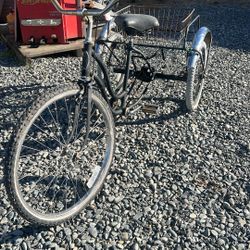 Three Wheel Bike