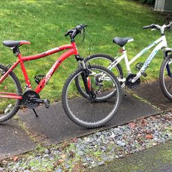 Boys And Girl Schwinn Bike