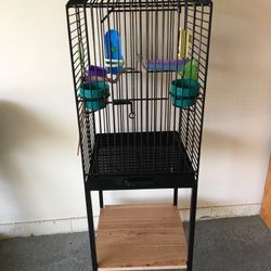 Bird Cage