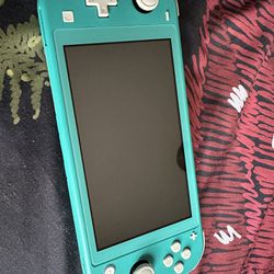 GPS And Switch Lite
