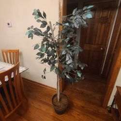 Artificial Tree 5-6 ft