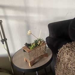 Mirror Planter Succulent Arrangement 