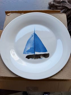 10.5” dinner plates new never used