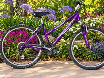 Schwinn Sidewinder Mountain Bike Purple- 26” tires/ 21 speed