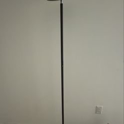 Smart Multicolor Standing Lamp I Have 2    40 Each 