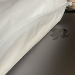 Studio Photography Holiday Backdrop