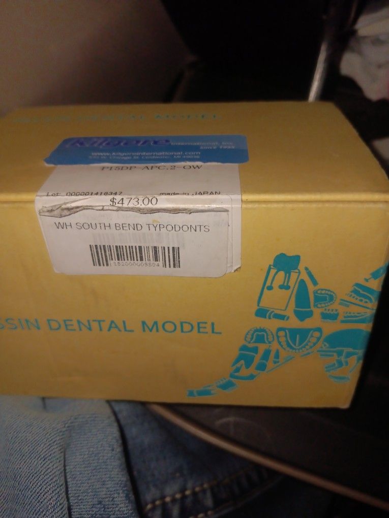Nissin Dental Model