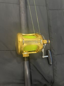 Penn International 30sw 2 Speed Combo