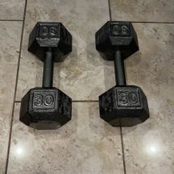 30 Pound Dumbbells Pair 