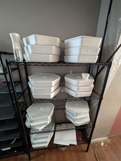 Bug Factory For Breeding