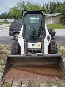 Bobcat for sale
