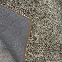 Camera Shag Rug 7'9"x 9'9"