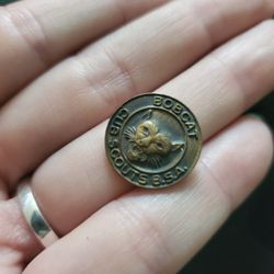 Old Cub Scout Pin