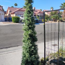 7ft Pre-lit Shelton Cashmere Fir Christmas tree