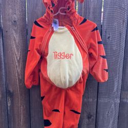 Disney Store Winnie The Pooh Tigger Costume