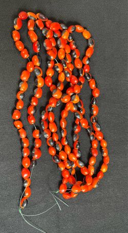 Lot 100 New Male Huayruro Seeds Red and Black Drilled 1 cm x 1 cm