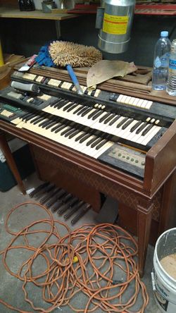 Organ