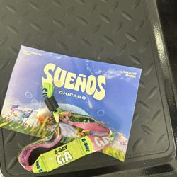 Suenos Ticket 2 day GA