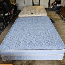 Two Queen Size Beds & Box Springs $50.00 