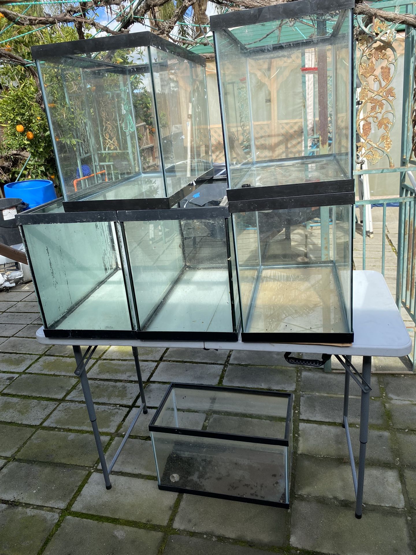 Aquarium Tanks And Canister Filter
