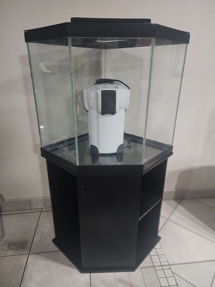 Corner fish tank with black stand and canister filter