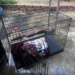 Large dog Crate 