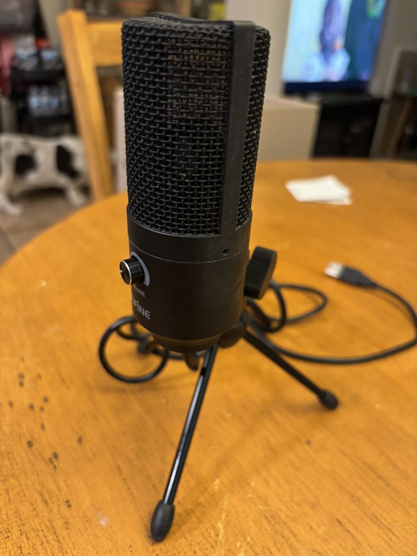 Audio Microphone