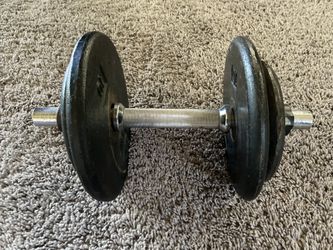 30 Pound Dumbbell (Including Bar)