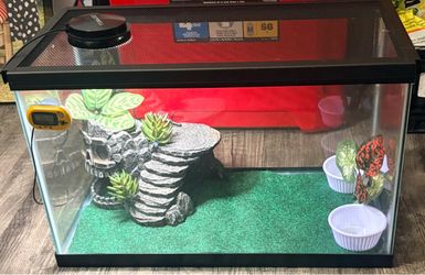 Glass Ten Gallon Reptile Tank with Screen Lid