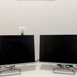 HP Dual Monitors 