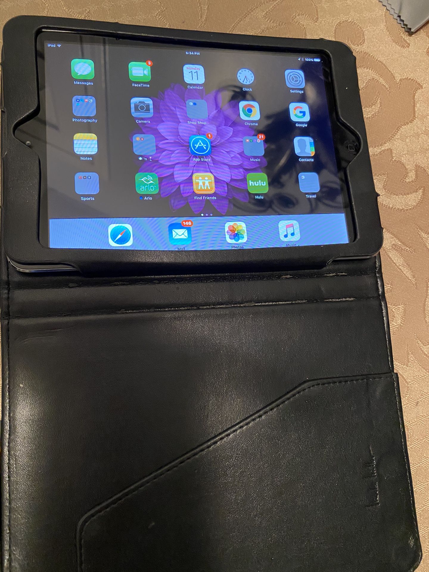 iPad Mini /case