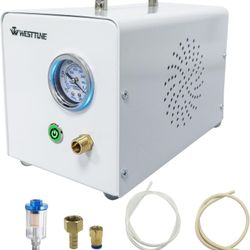 Lab Diaphragm Vacuum Pump, Portable Oilless Vacuum Filtration Pump for Laboratory Work with 2 Types of Rubber Tubes, Negative Pressure (10L/min)